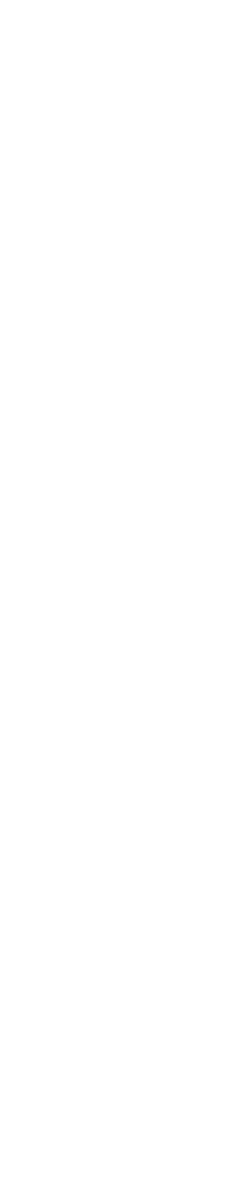 入口画像