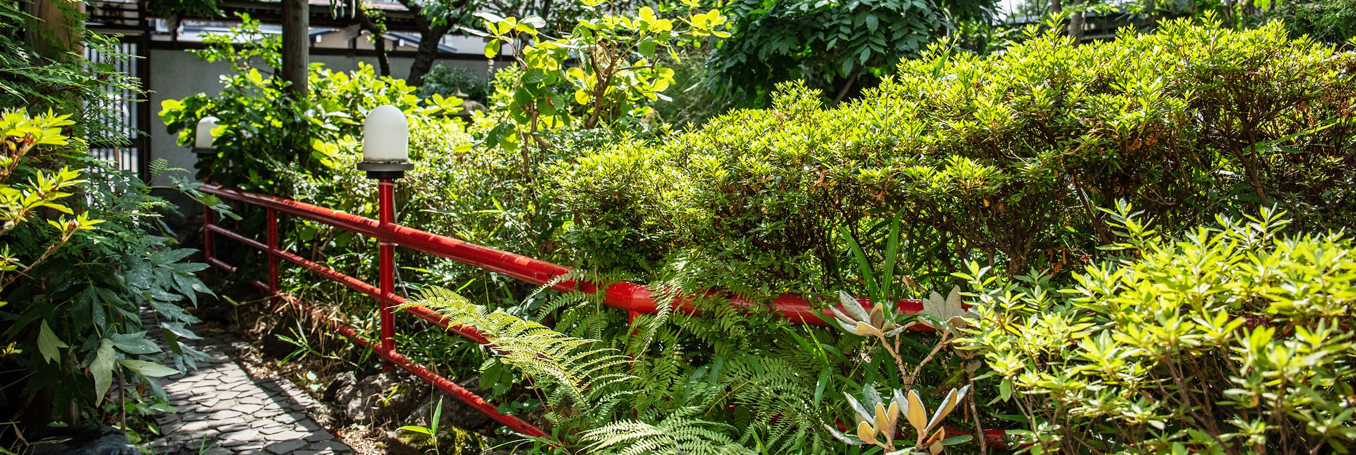 日本的な庭園